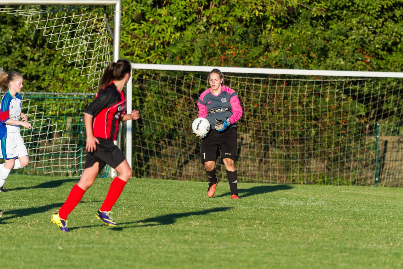 Bild 246 - B-Juniorinnen SG Wilstermarsch - SV Henstedt Ulzburg : Ergebnis: 5:1